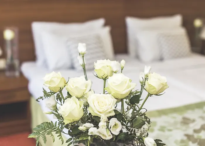 Hotel Hotel Barlinek Barlinek